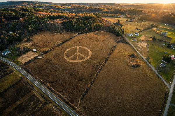 Field2.jpg