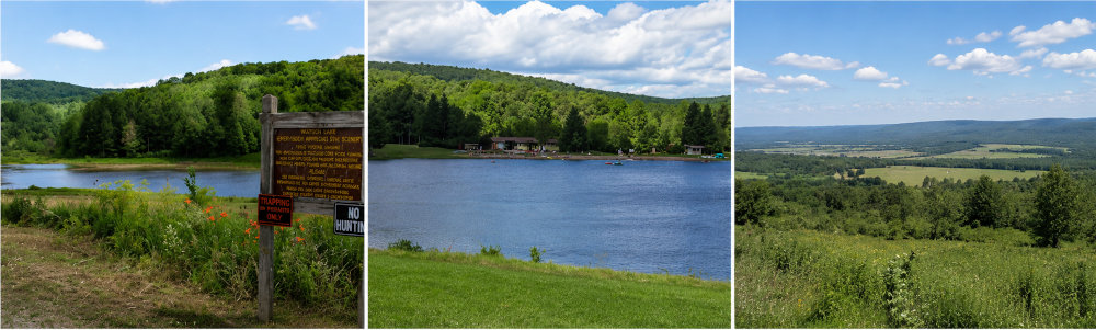 Natural Beauty in the Town of Erin