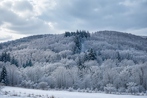 Winter2.jpg